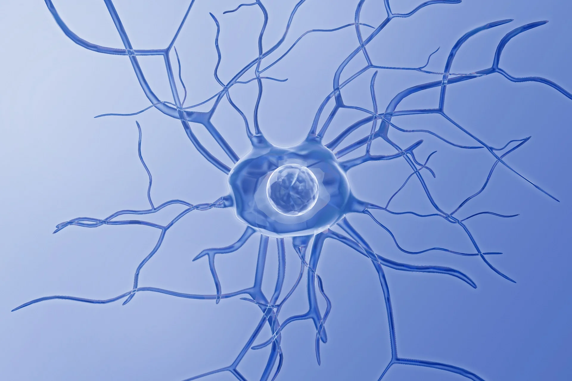 Nervenzelle_colourbox_cb_4367932.jpg