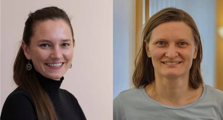 Collage Mass_Tchumatchenko.webp