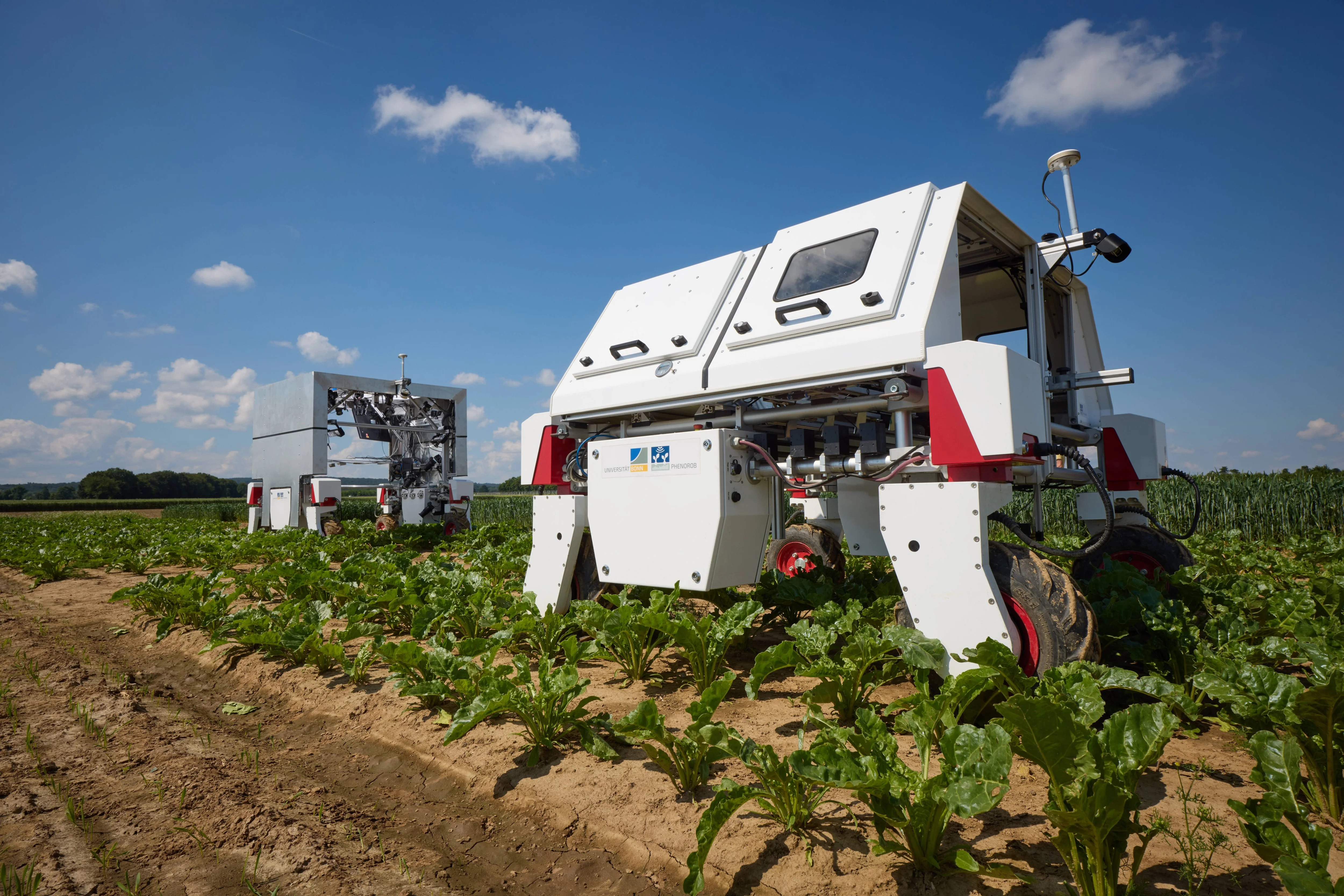 uni-vl-Phenorob-KA-240624-11_Volker Lannert.jpg