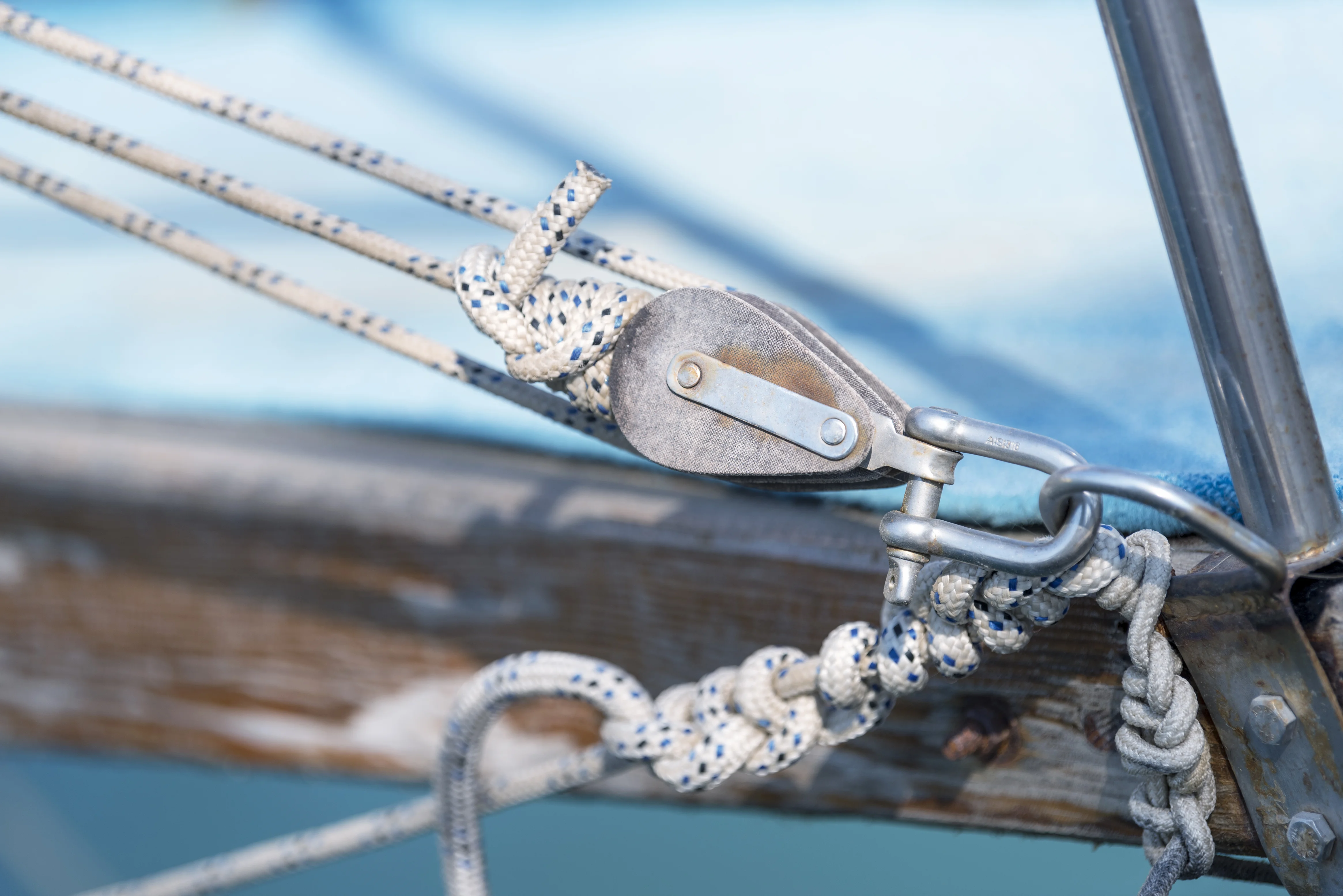 Qualitätssicherung in Studium und Lehre