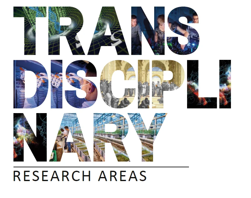 Transdisciplinary Research Areas