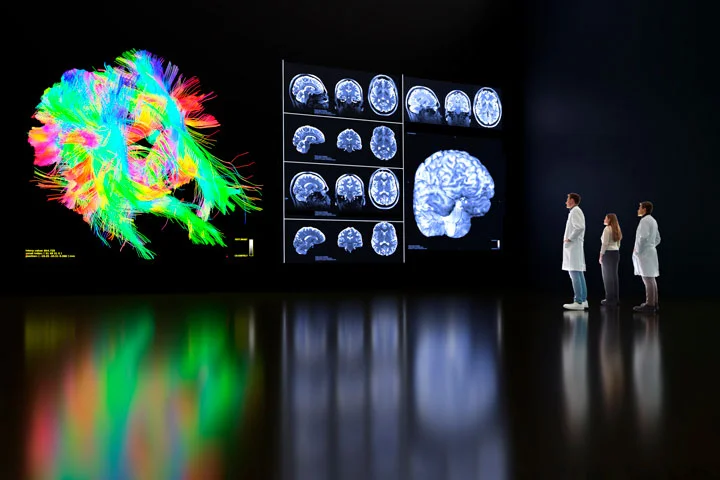 PD Dr. Rüber und sein Team beschäftigen sich mit der Bildgebung des menschlichen Gehirns um die Funktionsweise aufzuklären und Krankheiten besser zu diagnostizieren und behandeln.