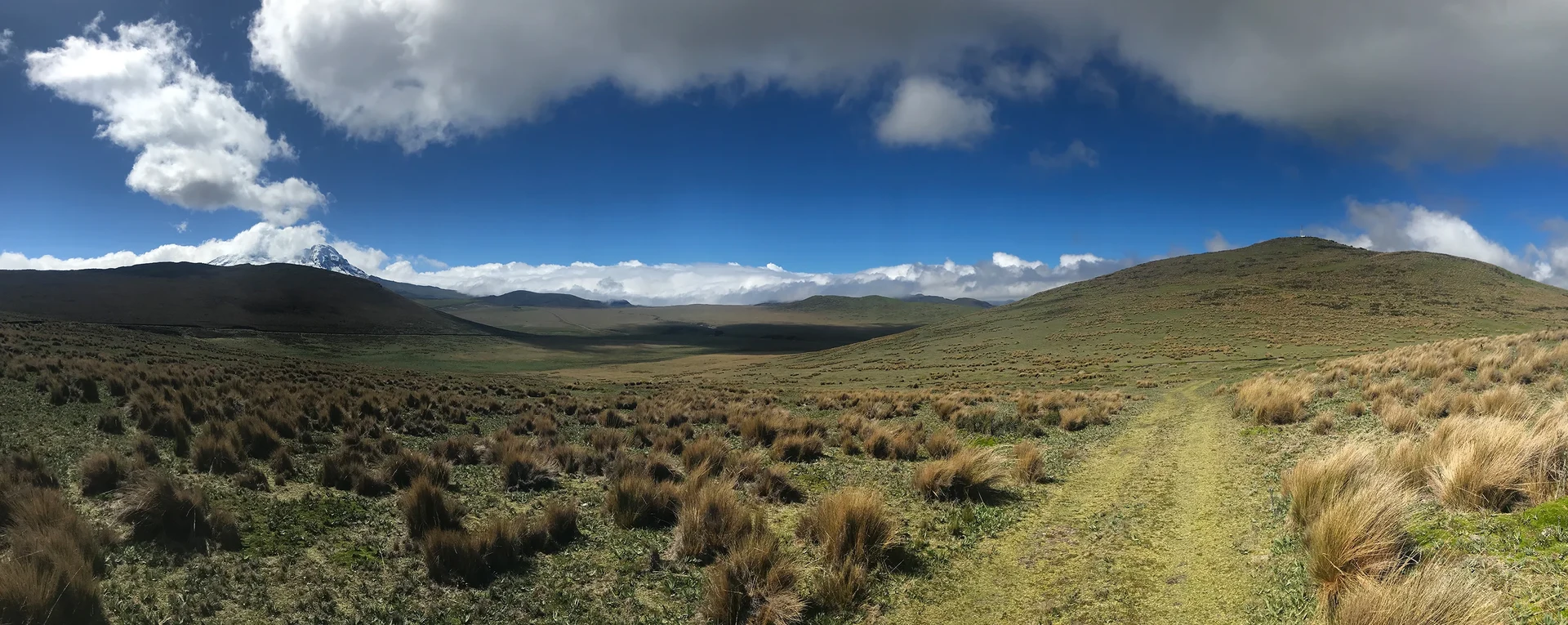 Der Páramo de Papllacta