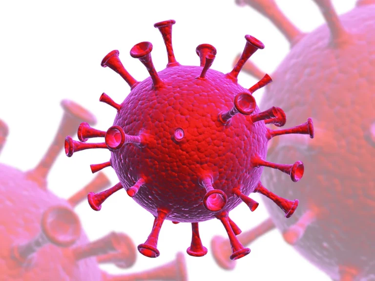 Grafische Darstellung