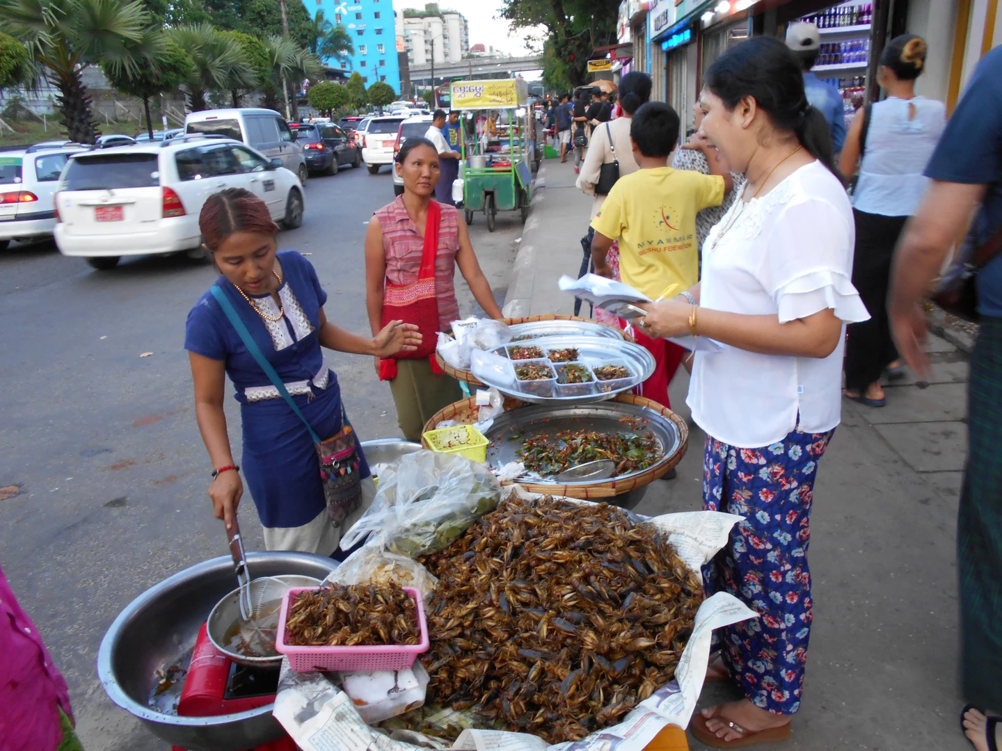 Tier und Mensch auf engem Raum