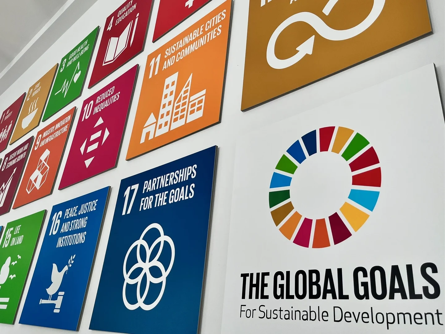 Hervorragendes Abschneiden beim THE Impact Ranking zur Nachhaltigkeit.