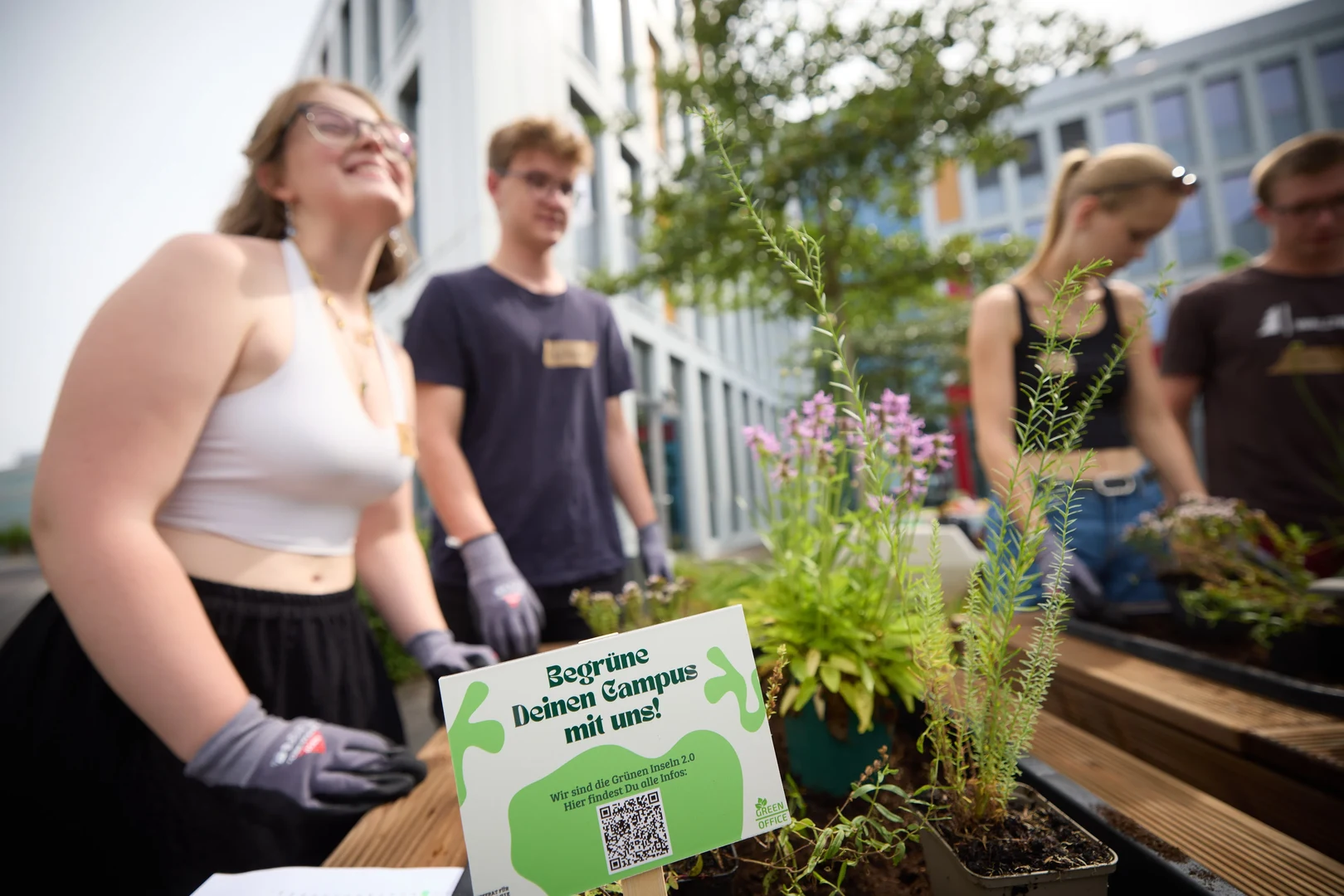 Patenschaft Pflanzkasten