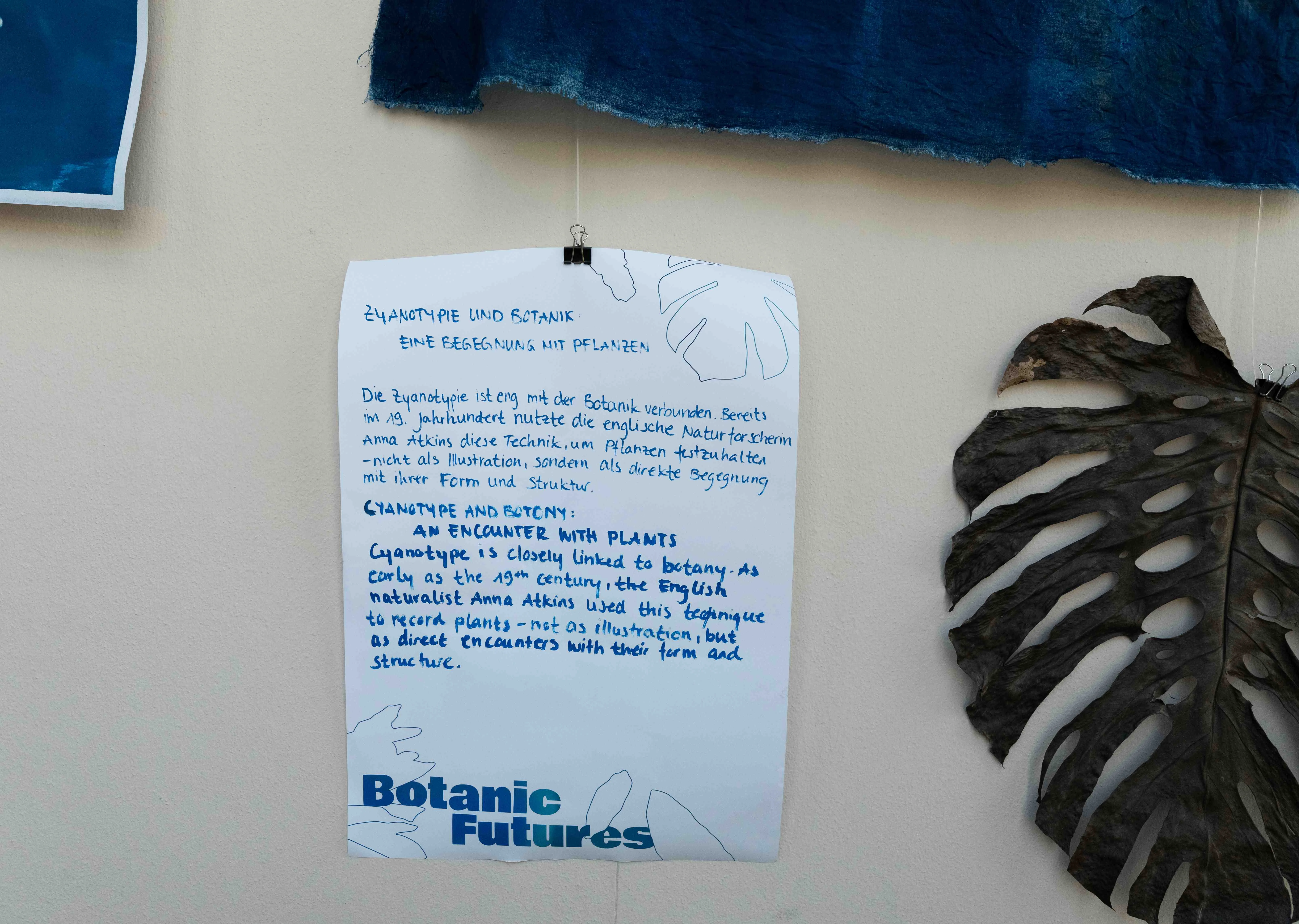 Begegnung mit Pflanzen