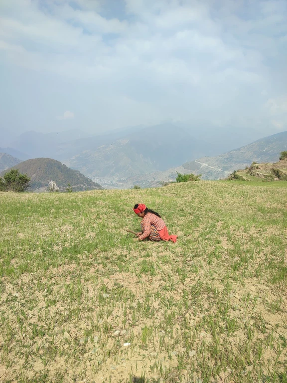 Landwirtin in Nepal: