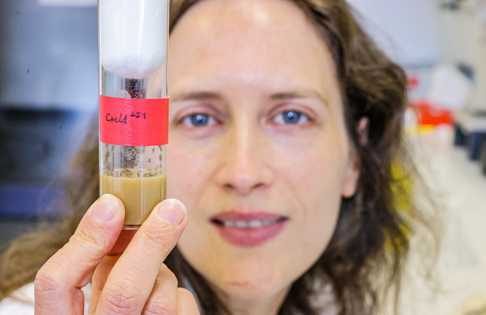 PD Dr. Margret Helene Bülow beobachtet Taufliegen in einem Röhrchen mit Futterbrei.