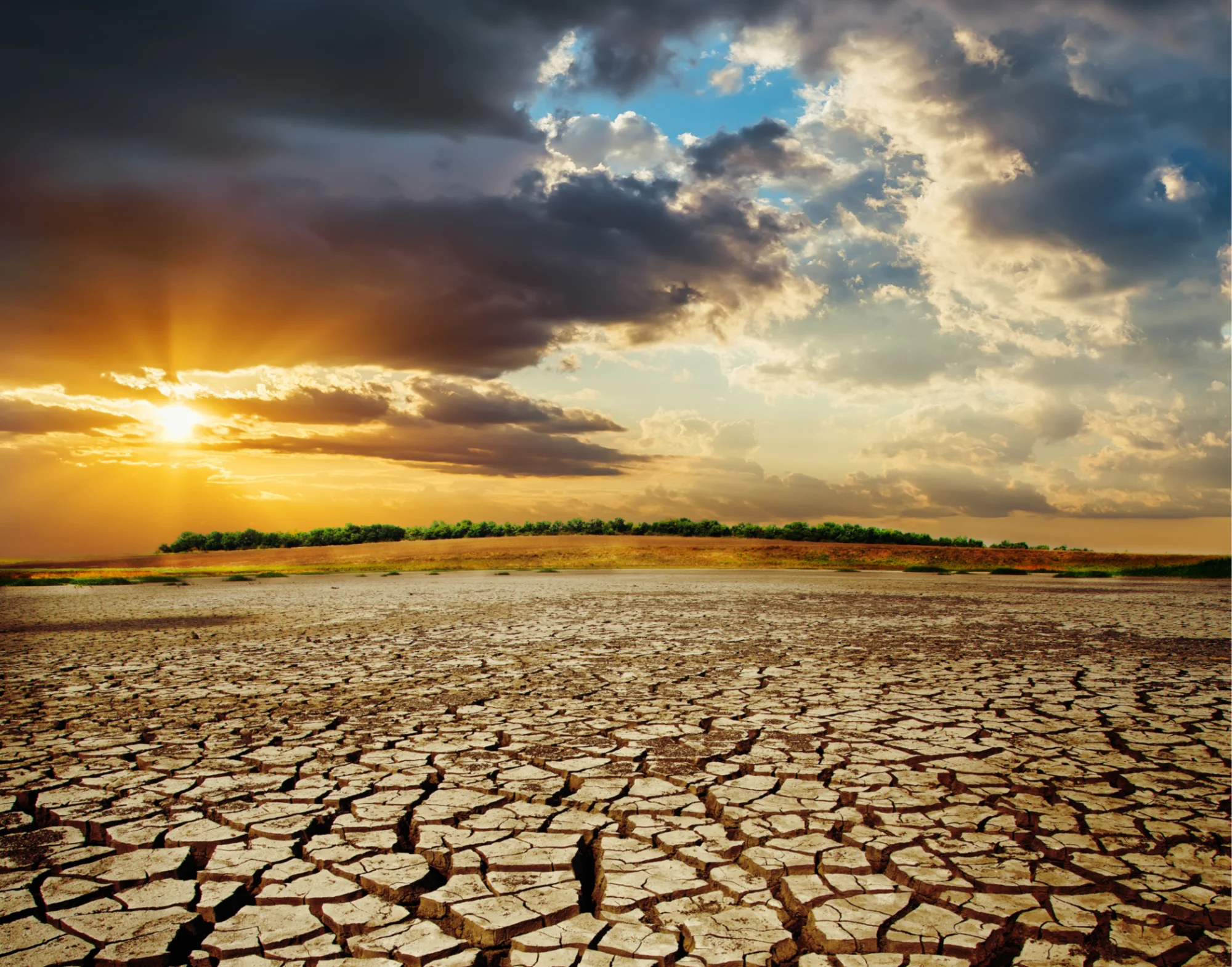 Soziale Normen prägen Bereitschaft zum Klimaschutz