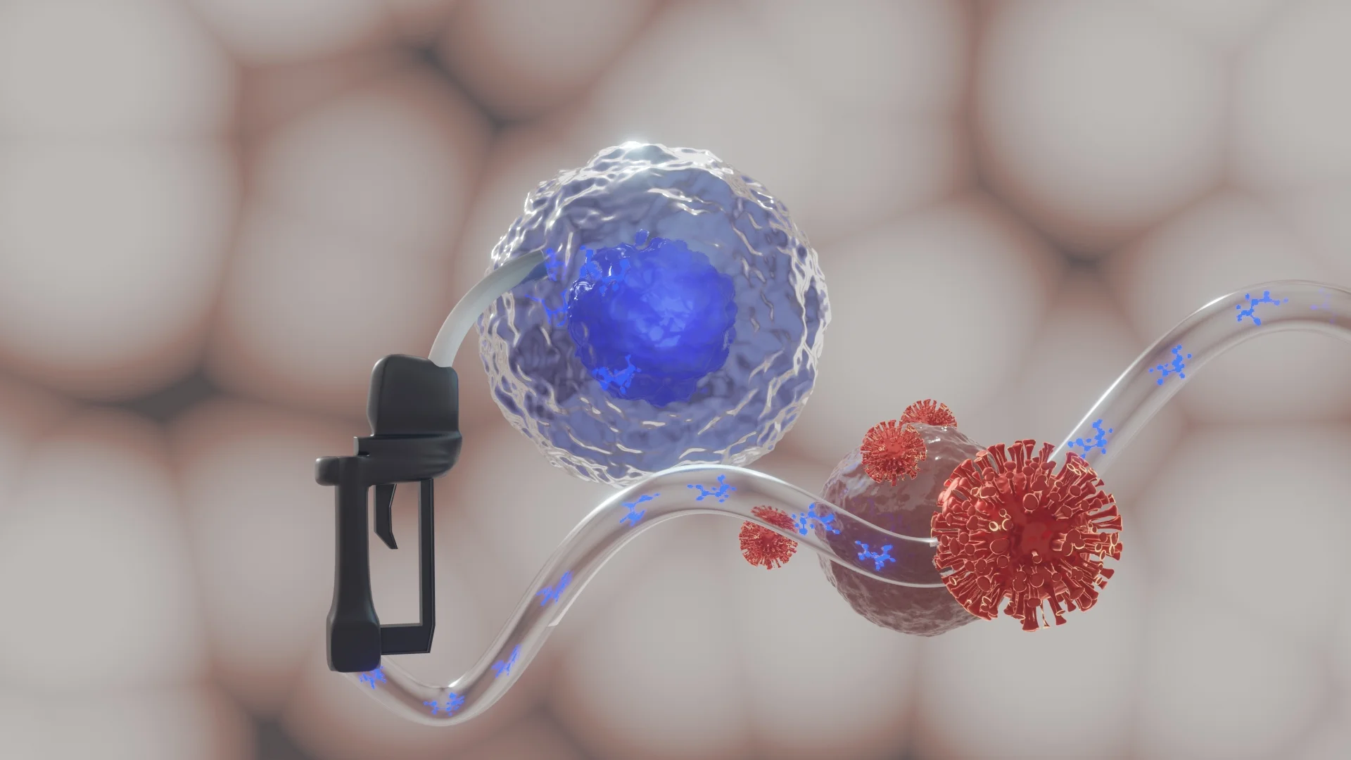 Covid-19: Neue Energie für schlappe Immunzellen