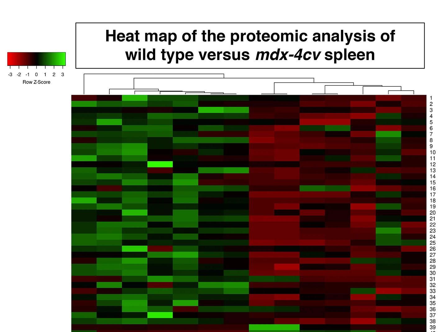 “Heat map” der Proteomanalyse: