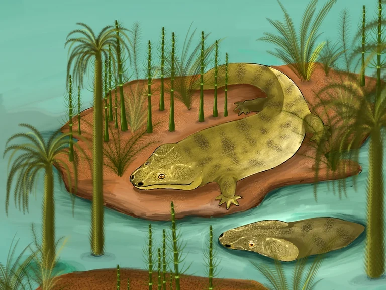 Lebendrekonstruktion