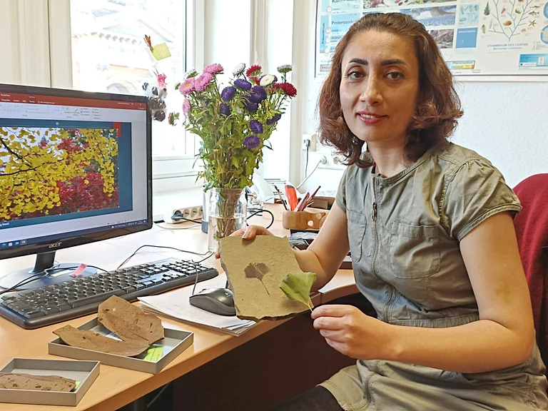 Mahdieh Malekhosseini mit einem fossilen und einem heutigen (rezenten) Ginkgo-Blatt