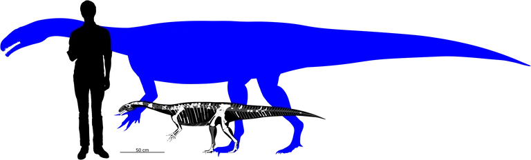 Skelettrekonstruktion von „Fabian“ (Vordergrund)