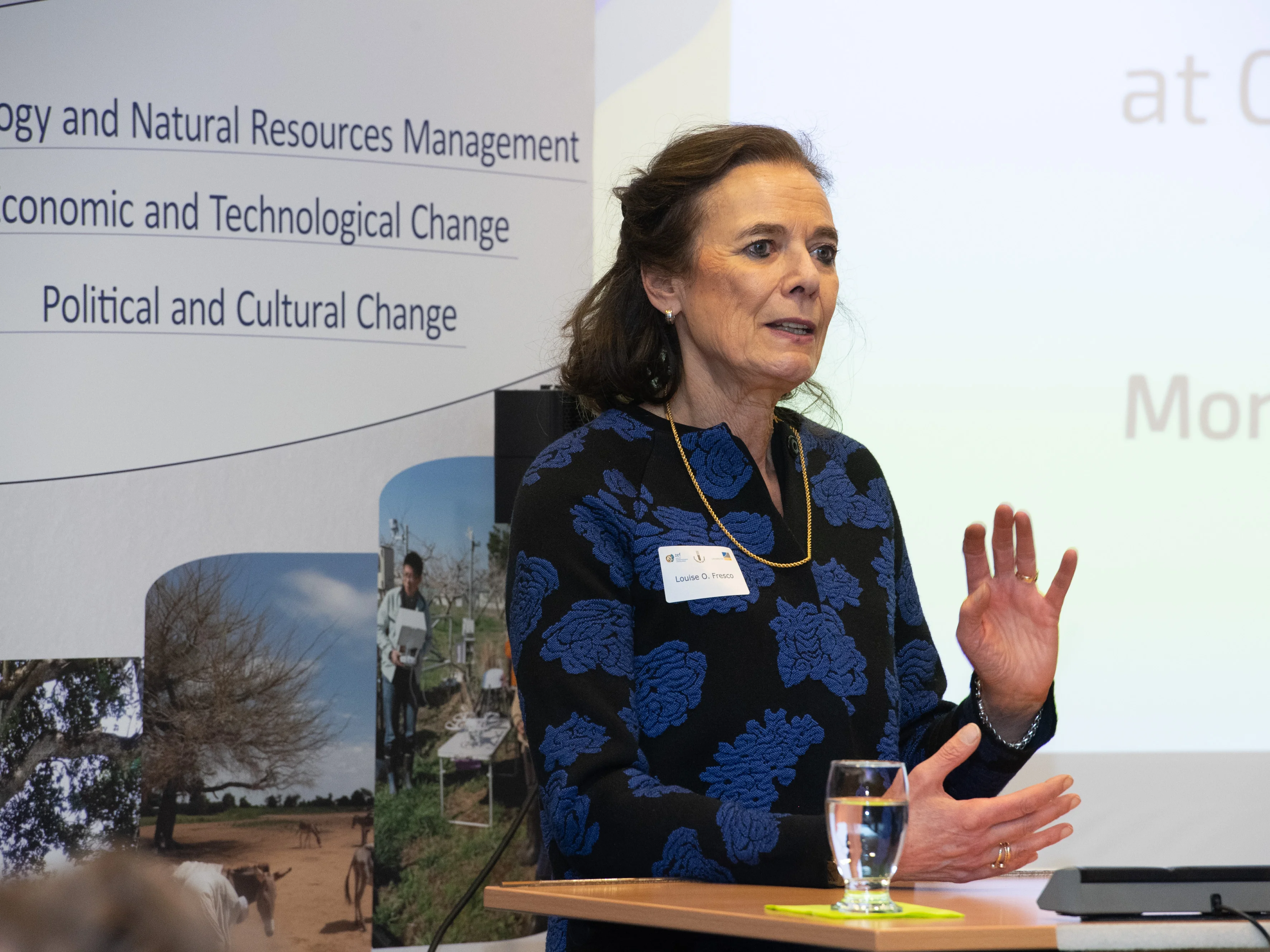 Vortrag am ZEF der Uni Bonn