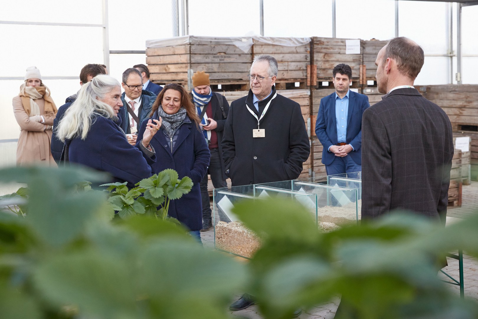 Prof. Dr. Ralf Pude (rechts) zeigte Ministerin Pfeiffer-Poensgen unter anderem alternative Substrate aus nachwachsenden Rohstoffen für den Erdbeeranbau.