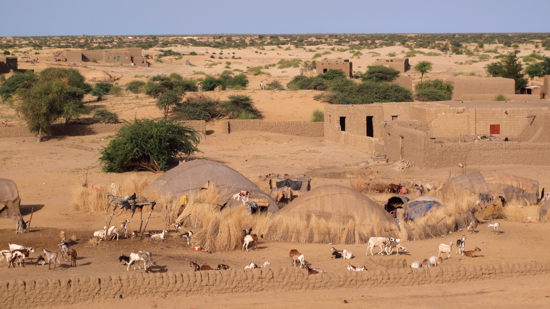 Ein Sahel-Dorf