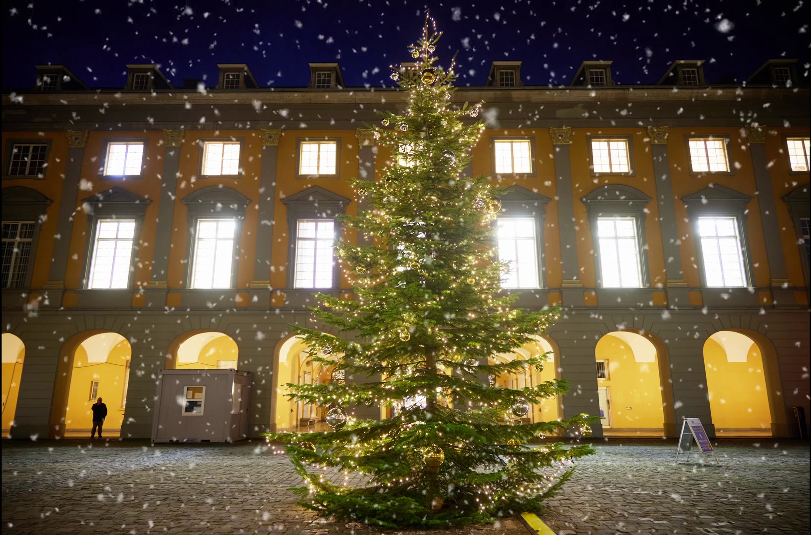 Im Hauptgebäude wurde zum ersten Advent der Weihnachtsbaum aufgestellt.