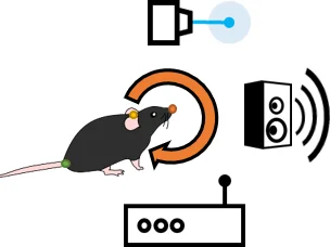 Echtzeit-Verhaltensanalyse mithilfe künstlicher Intelligenz