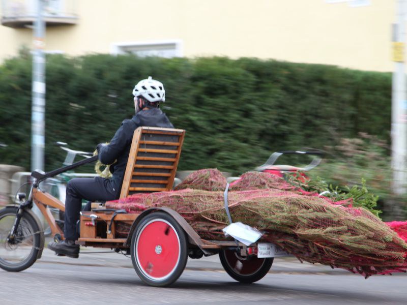 Kohlendioxidfreier Transport - Weihnachtsbaum-Transport mit dem Lastenrad