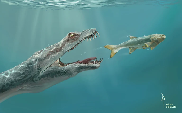 Ein verletzter Nothosaurier