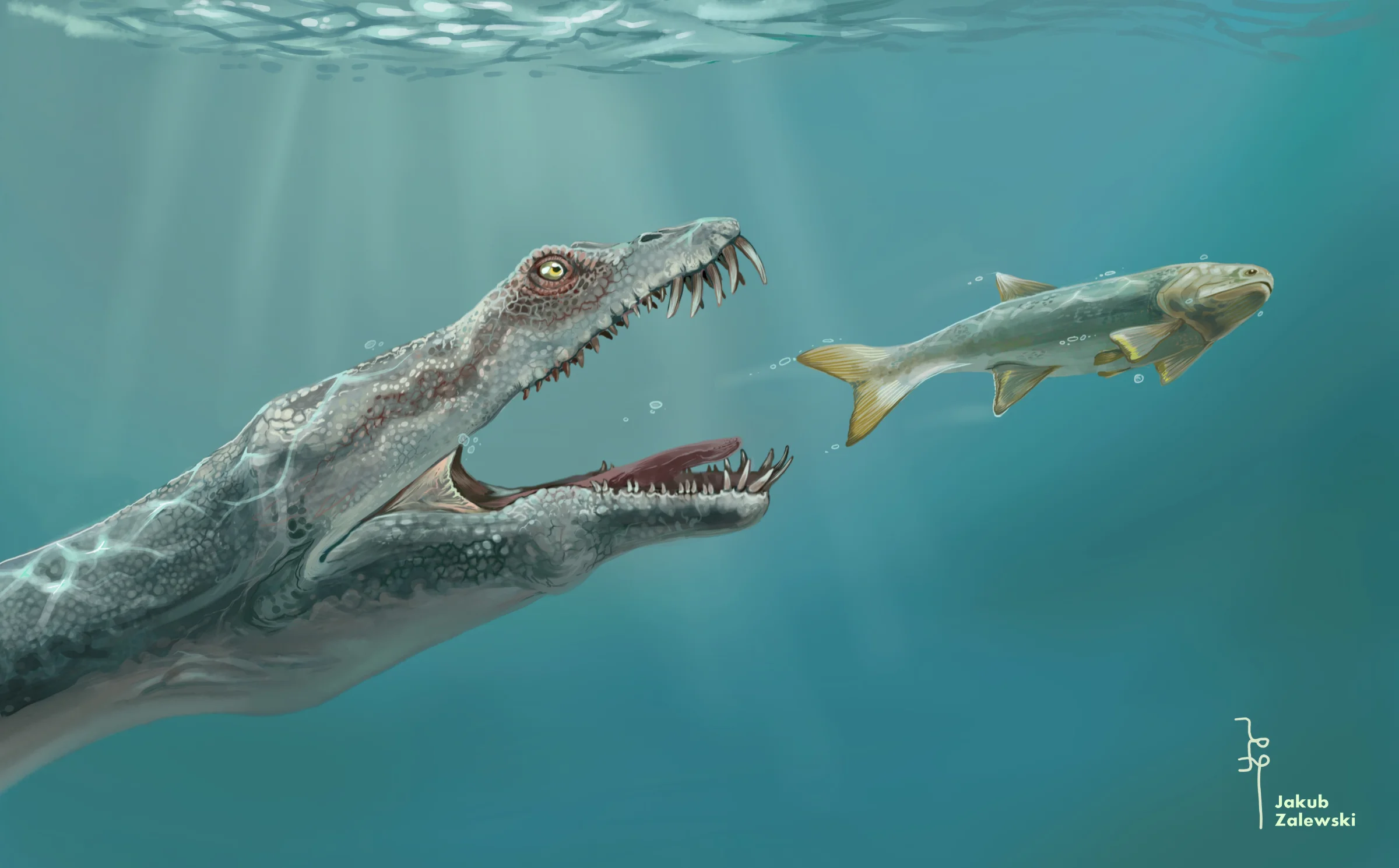 Ein verletzter Nothosaurier