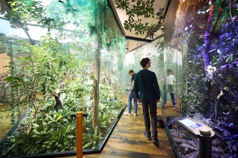 Ein Abstecher in den Regenwald