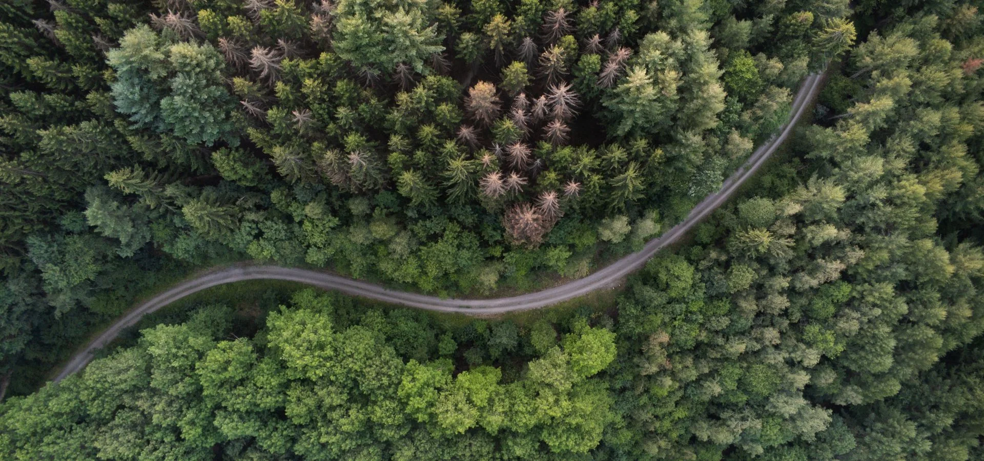 studienzweifel_header_marc-lipscke_unsplash_V0q5kfutWWs