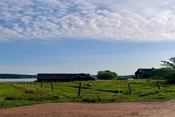 Kristina_Turku_600x400px_Landschaft