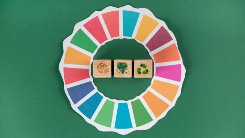 Sutainable-development-goals.webp