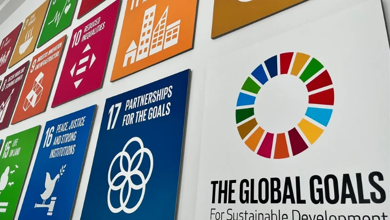 Website Bilder (13).png