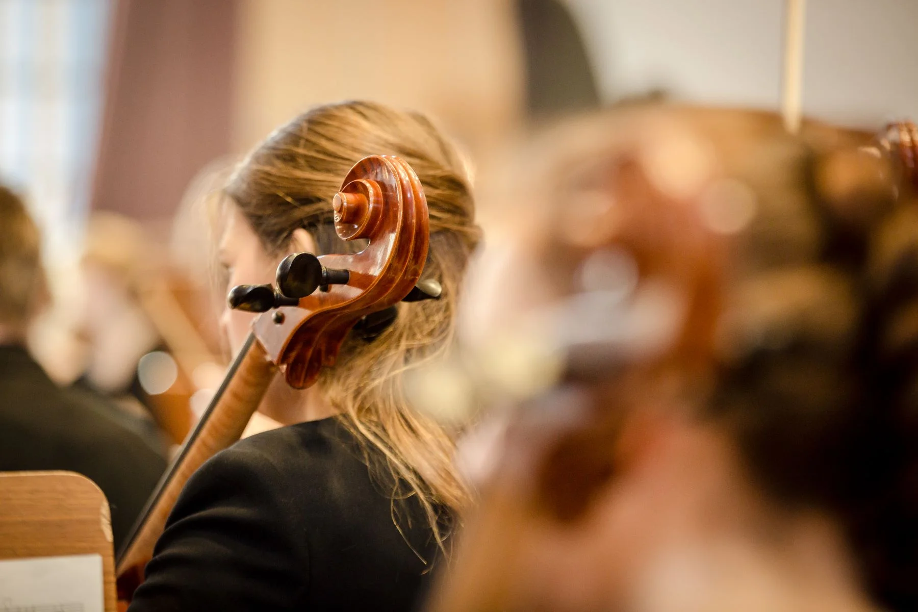 Cellistin von hinten.jpg