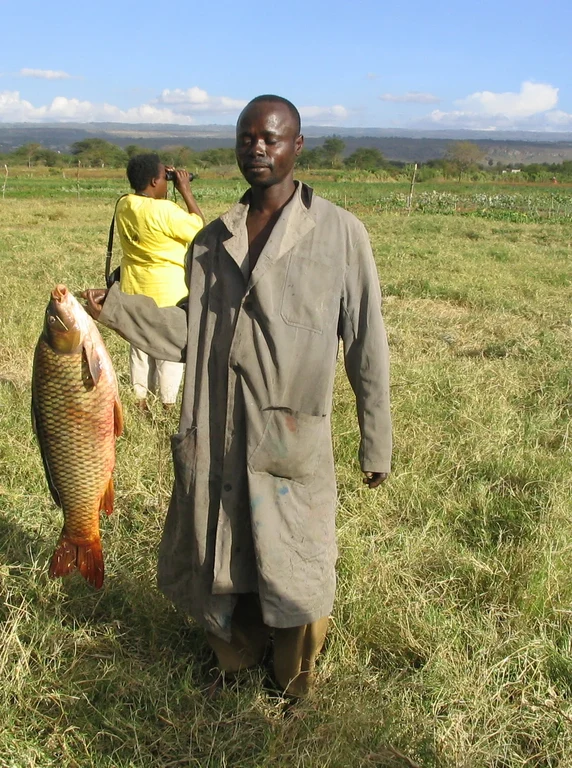 Bild Bonner Wissenschaftler erforschen Witwenland