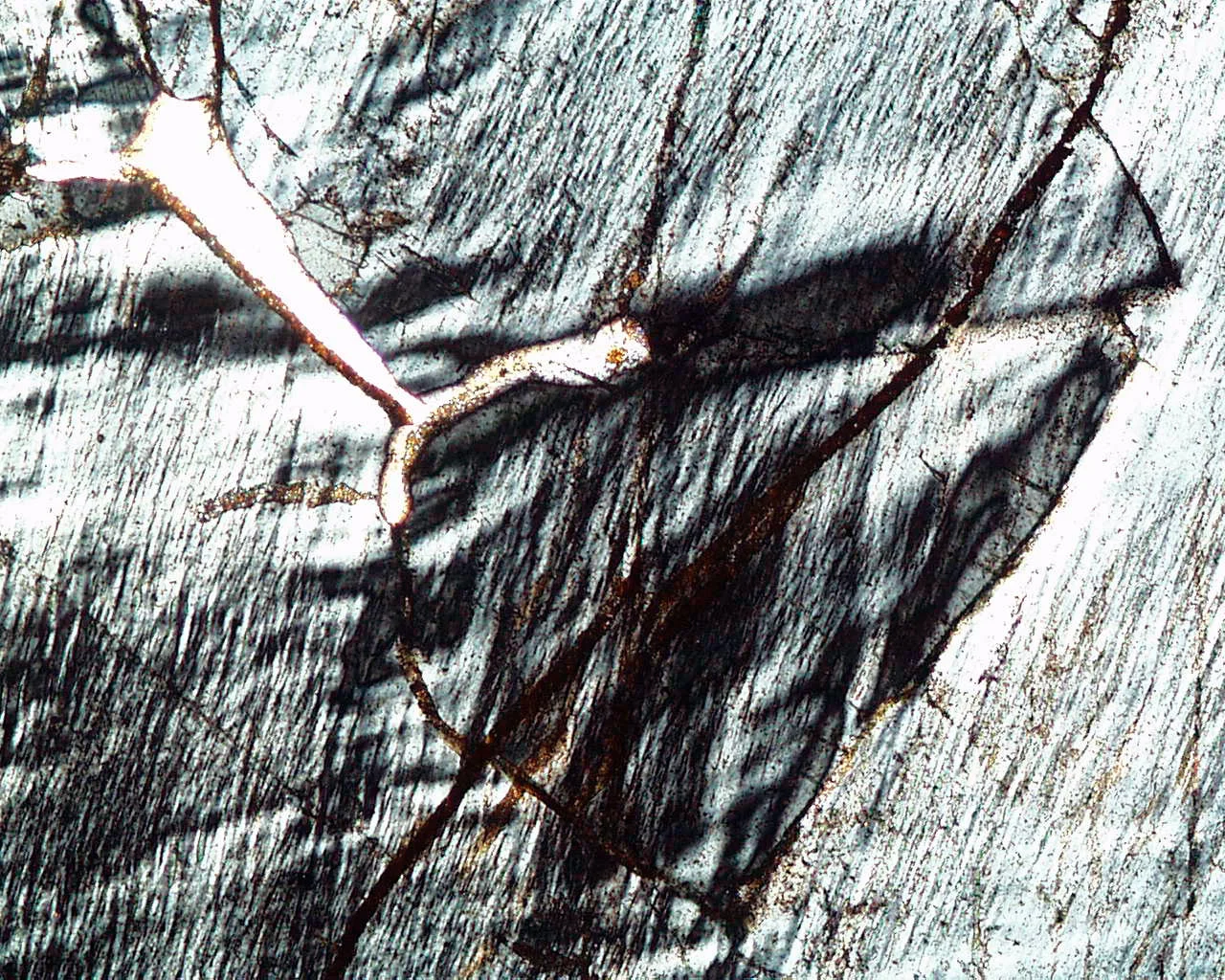 Bild Buch erlaubt einen Blick "hinter die Fassaden" Bonns