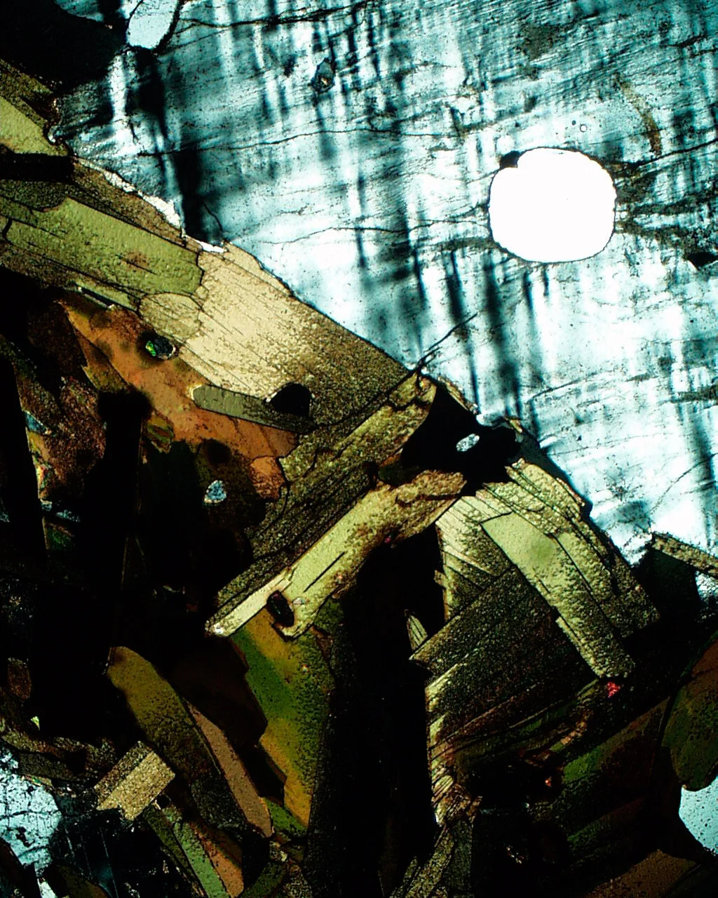 Bild Buch erlaubt einen Blick "hinter die Fassaden" Bonns