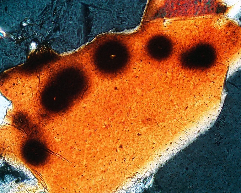 Bild Buch erlaubt einen Blick "hinter die Fassaden" Bonns