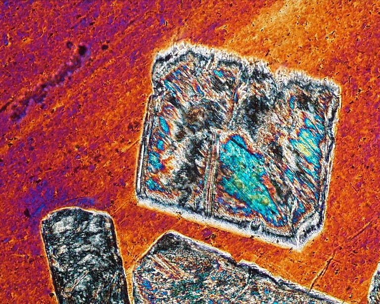 Bild Buch erlaubt einen Blick "hinter die Fassaden" Bonns