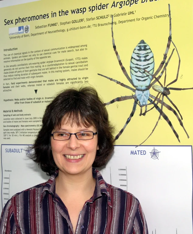 Bild Spinnen: Keuschheitsgürtel gegen Kuckuckskinder