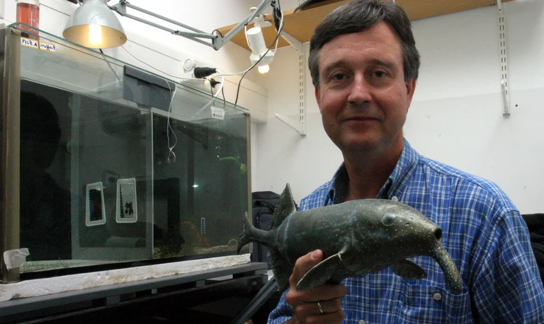 Bild Taschenlampe im Schwanz