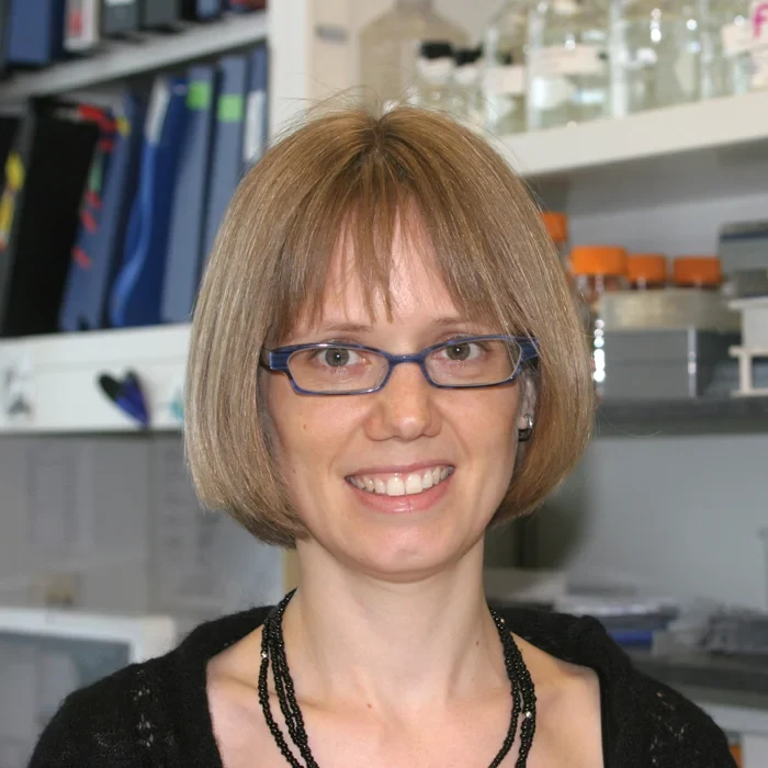 Bild Von Amerika an den Rhein