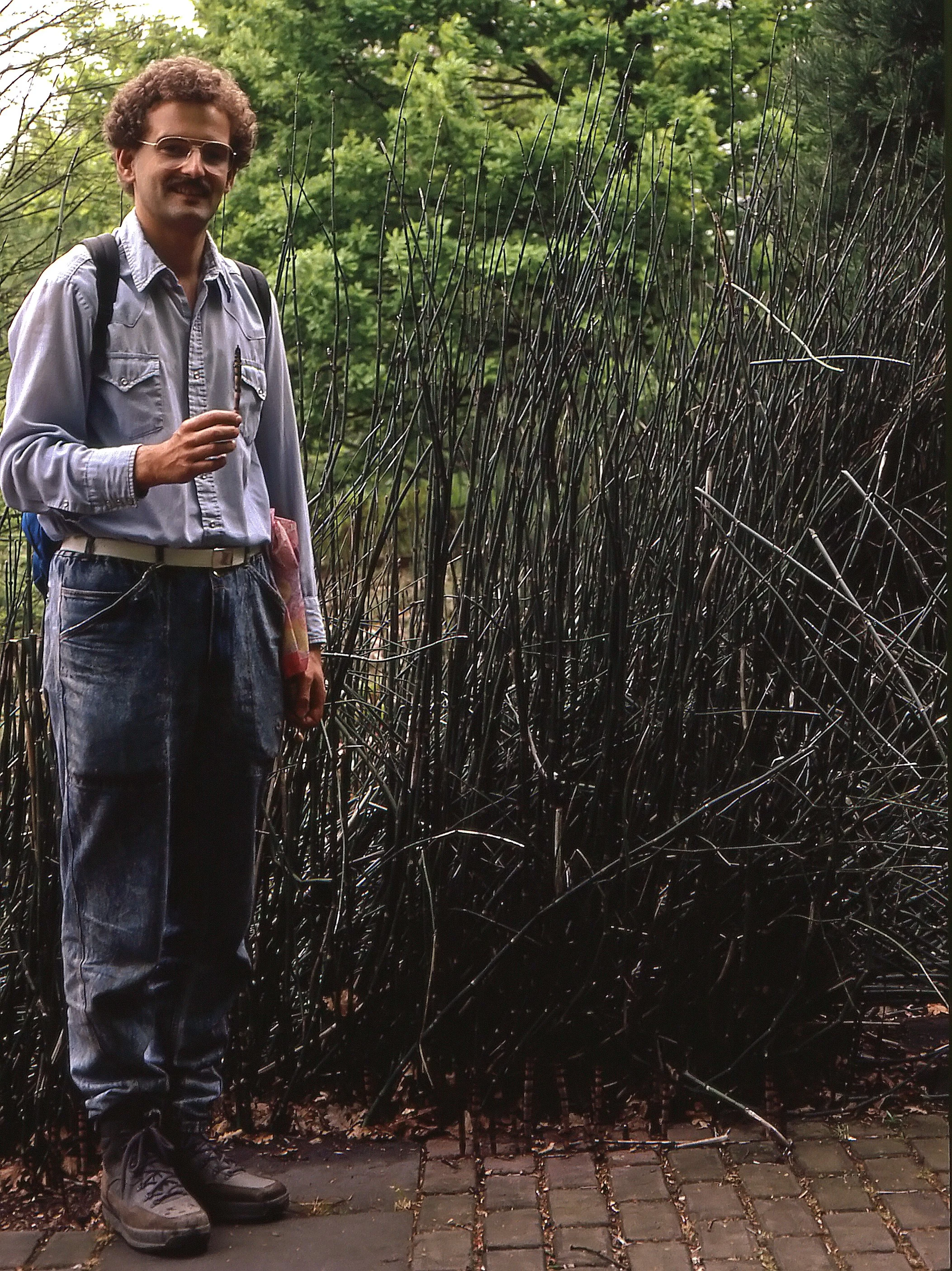 Bild Bonner Forscher simulieren Dinoverdauung im Labor