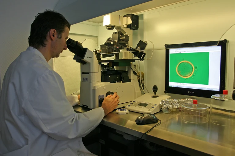 Bild Deutlich besserer Erfolg bei künstlicher Befruchtung