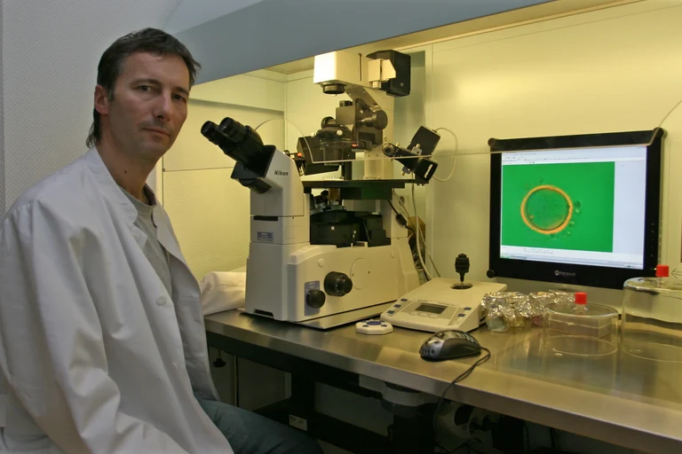 Bild Deutlich besserer Erfolg bei künstlicher Befruchtung