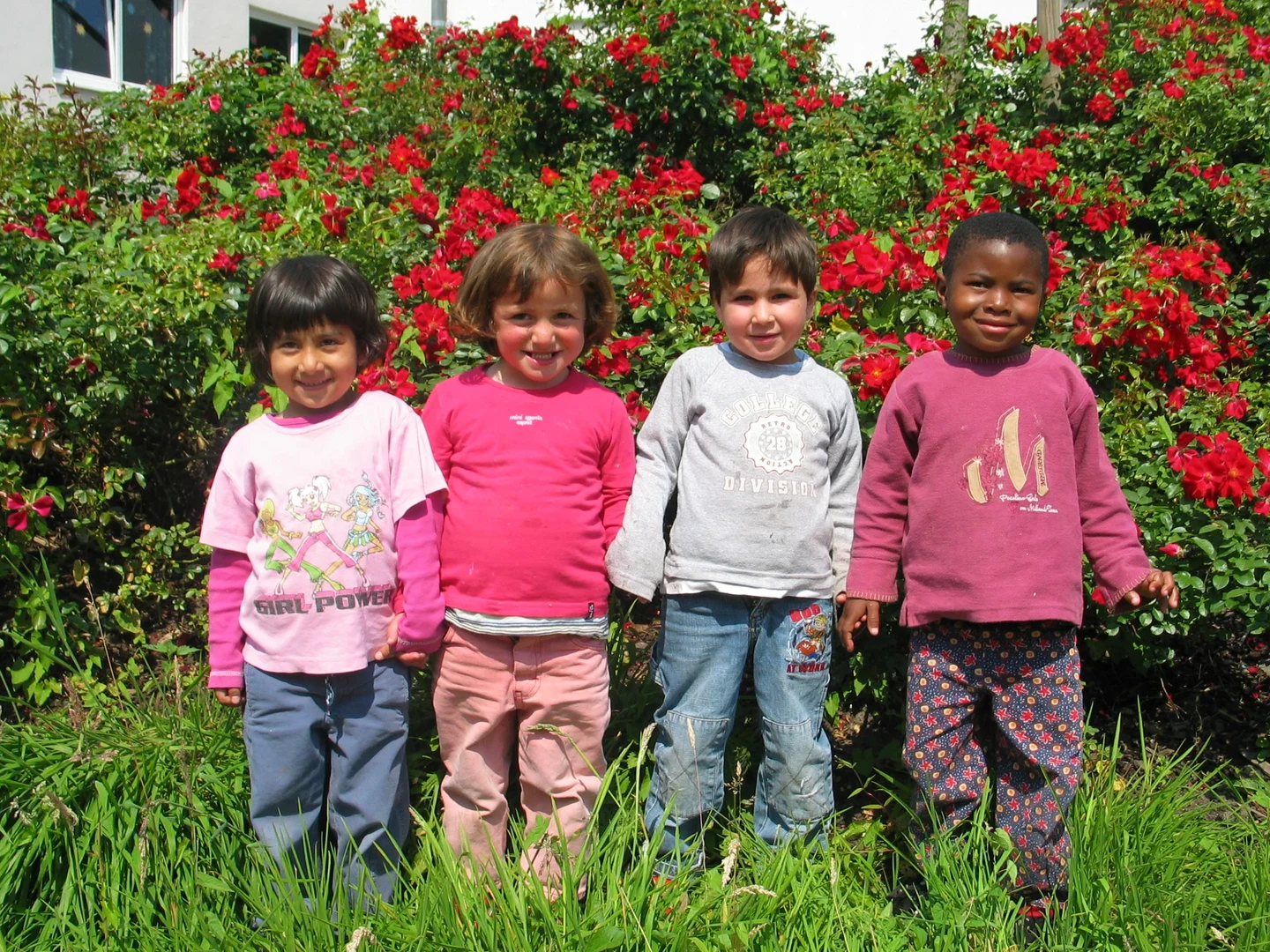 Bild Ihre Nieren drohen langfristig zu versagen