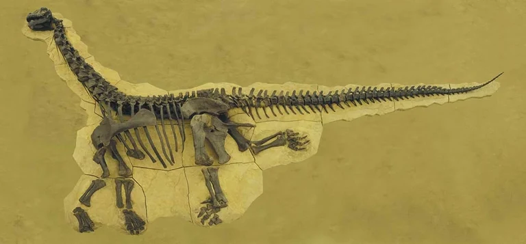 Bild Warum Riesendinosaurier so groß wurden