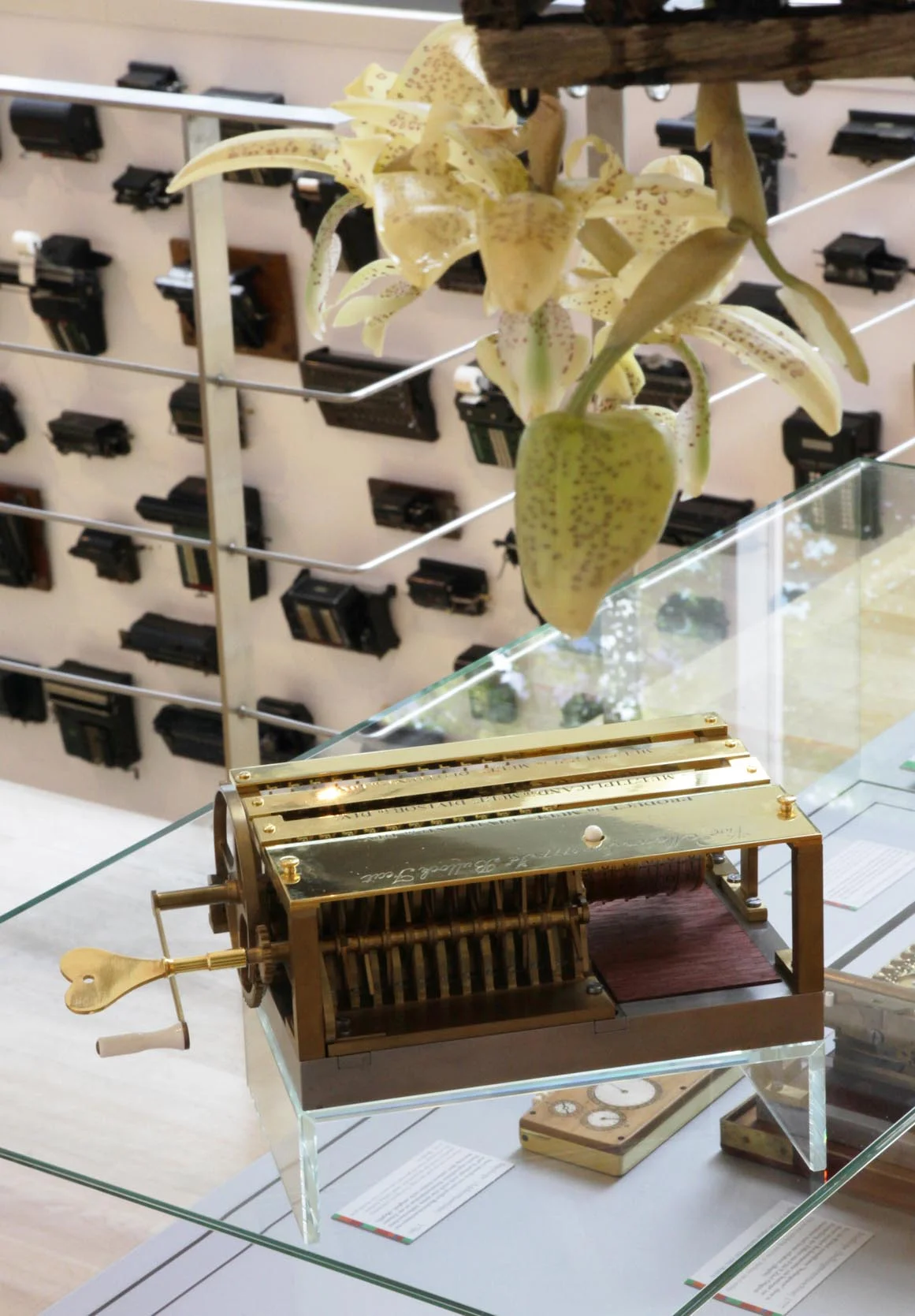 Orchidee und Rechenmaschine