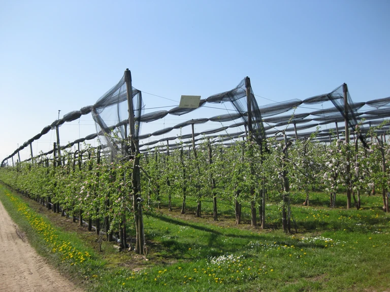 Lehr- und Versuchsstation Klein-Altendorf