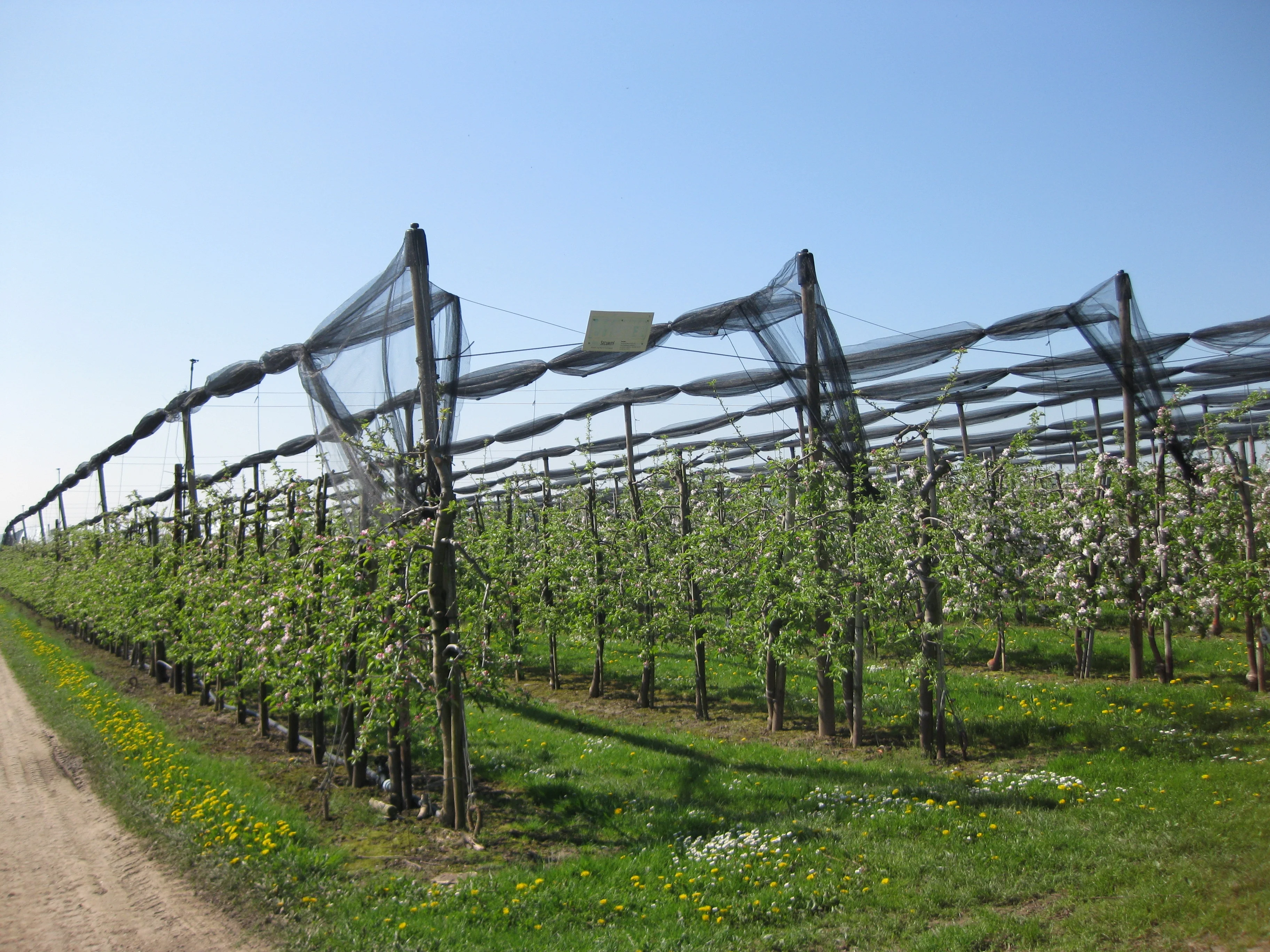 Lehr- und Versuchsstation Klein-Altendorf